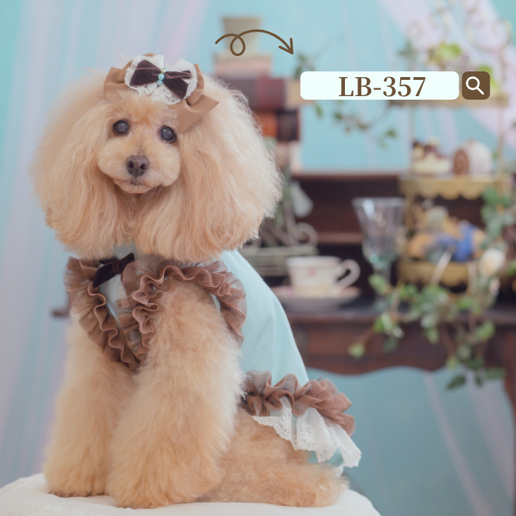 1197 パティスリーワンピース