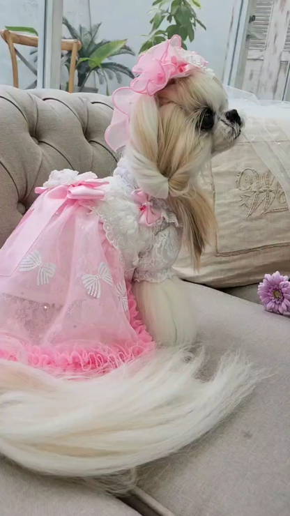 1178レース＆チュールキャミワンピース(リボンブローチ付き)