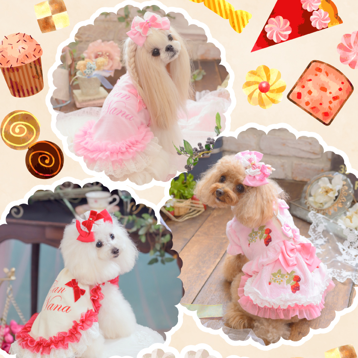 パティスリーコレクション2026｜かわいい犬服・犬用アクセサリー