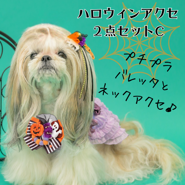 ハロウィンアクセ２点セットC