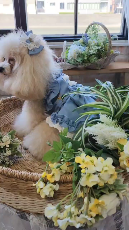 1181ストレッチデニムキャミワンピース