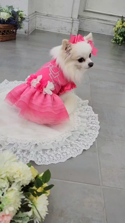 新色　LB-1001　CanNana姫リボンバレッタ