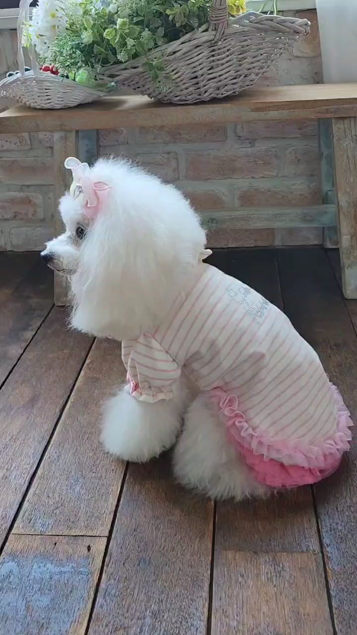 LB-337 ｵｰｶﾞﾝｼﾞｰ＆ｵｰﾌﾟﾝﾊｰﾄﾊﾞﾚｯﾀ