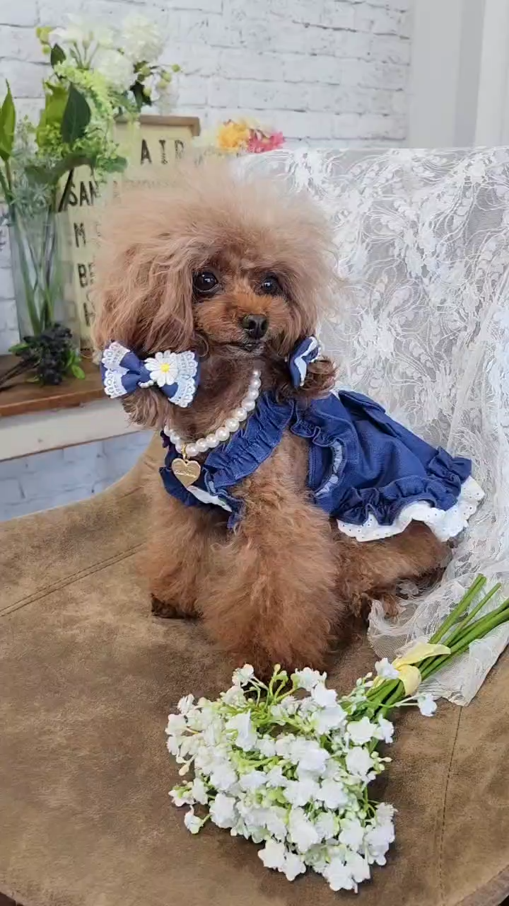 LB-336 ﾃﾞﾆﾑ＆ﾌﾗﾜｰ ﾐﾆﾊﾞﾚｯﾀ