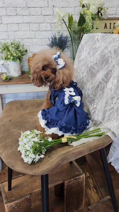 1181ストレッチデニムキャミワンピース