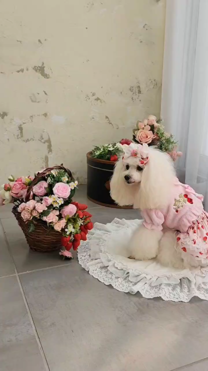 1176 いちご刺繍ハーフボレロ　