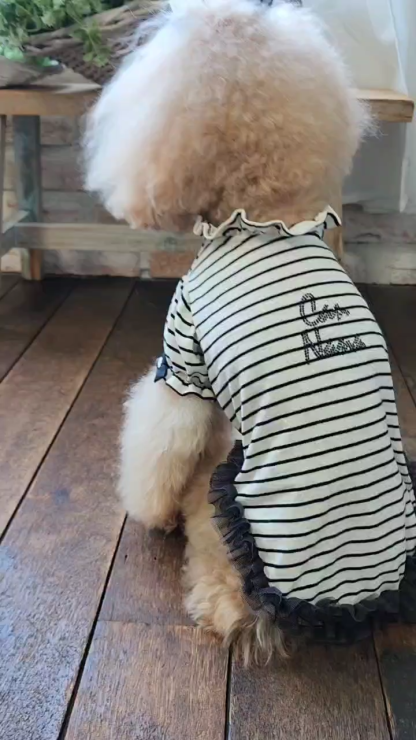 LB-337 ｵｰｶﾞﾝｼﾞｰ＆ｵｰﾌﾟﾝﾊｰﾄﾊﾞﾚｯﾀ