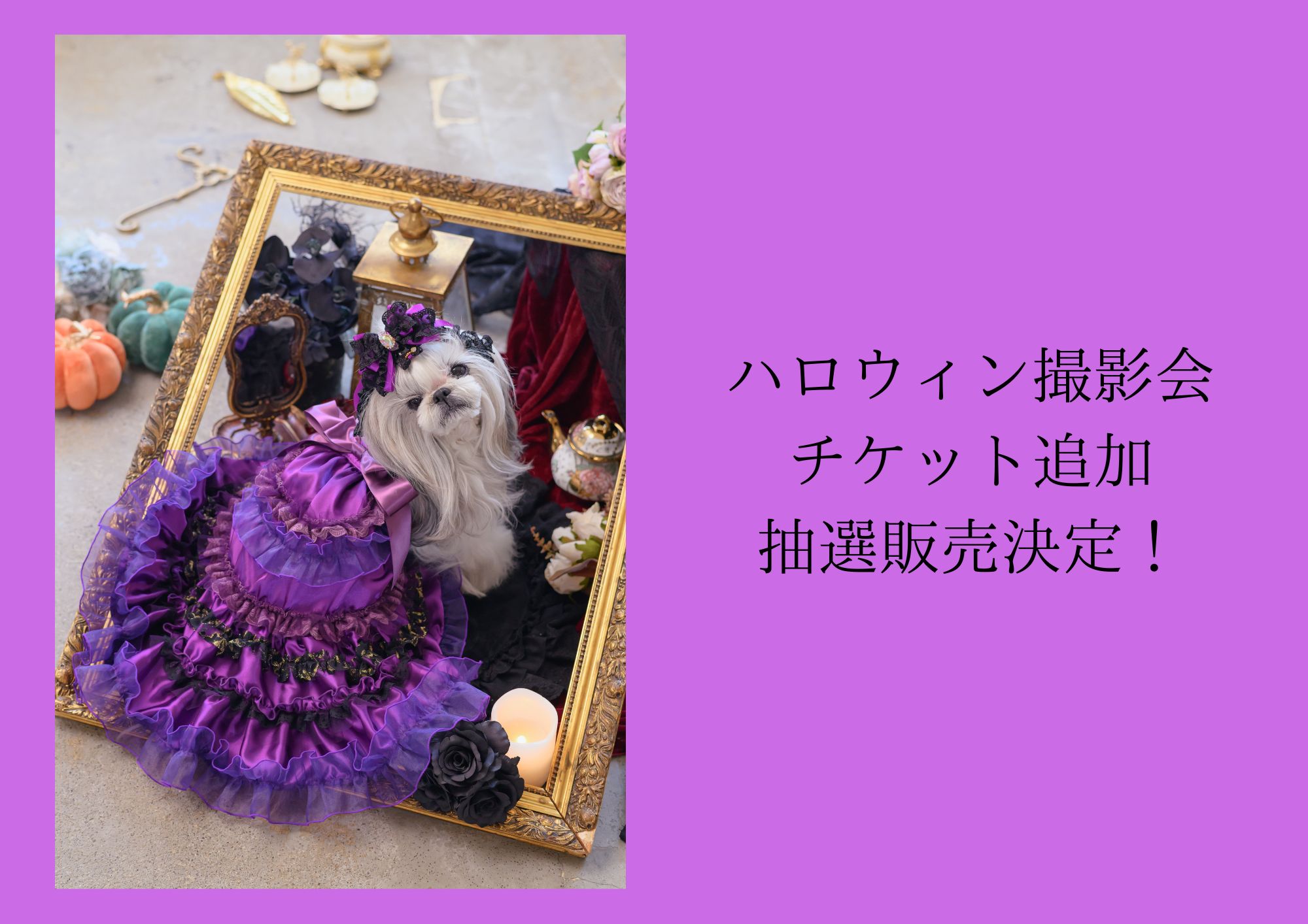 新着情報 – 【公式】CanNana（きゃんナナ）オフィシャル通販サイト