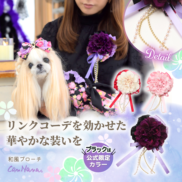 Autumn Collection 2025 – 【公式】CanNana（きゃんナナ）オフィシャル