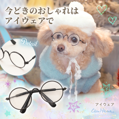 AC-043 アイウエア