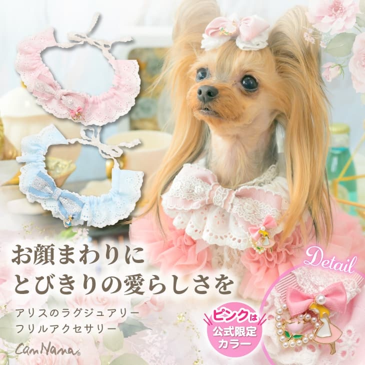 AC-053アリスのラグジュアリーフリルネックアクセサリー