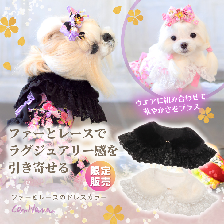 ☆Autumn Collection 2025☆ – 【公式】CanNana（きゃんナナ