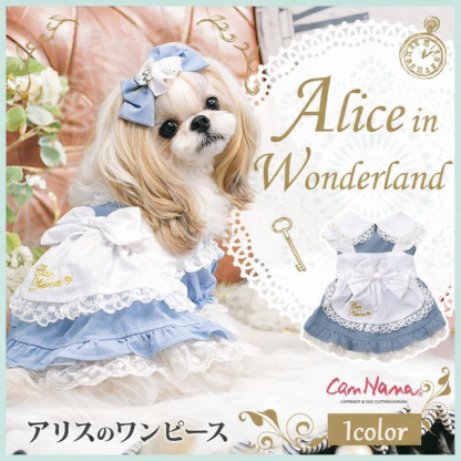アリスのワンピース