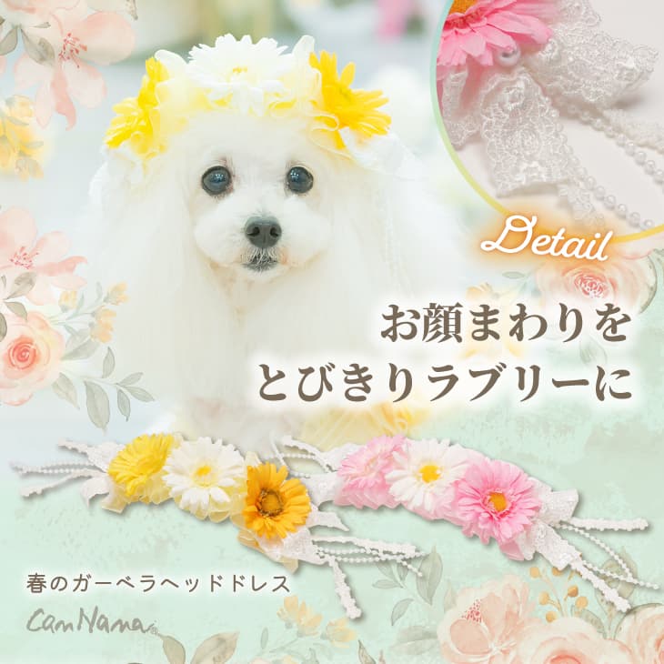 春のガーベラヘッドドレス 