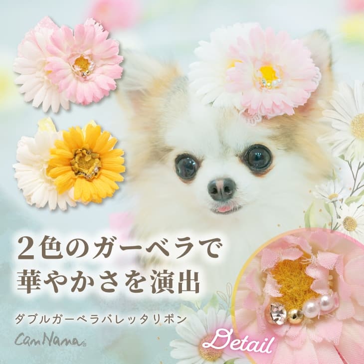 ダブルガーベラバレッタリボン