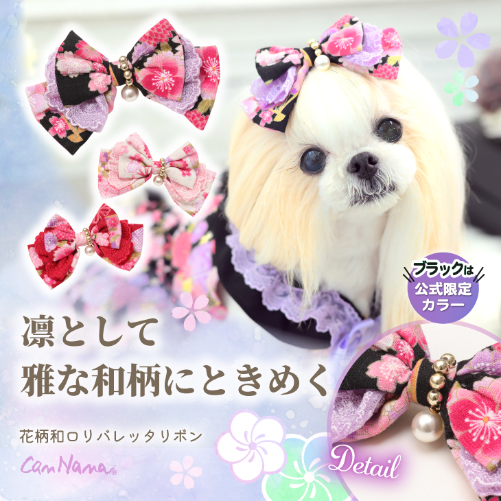 Autumn Collection 2025 – 【公式】CanNana（きゃんナナ）オフィシャル