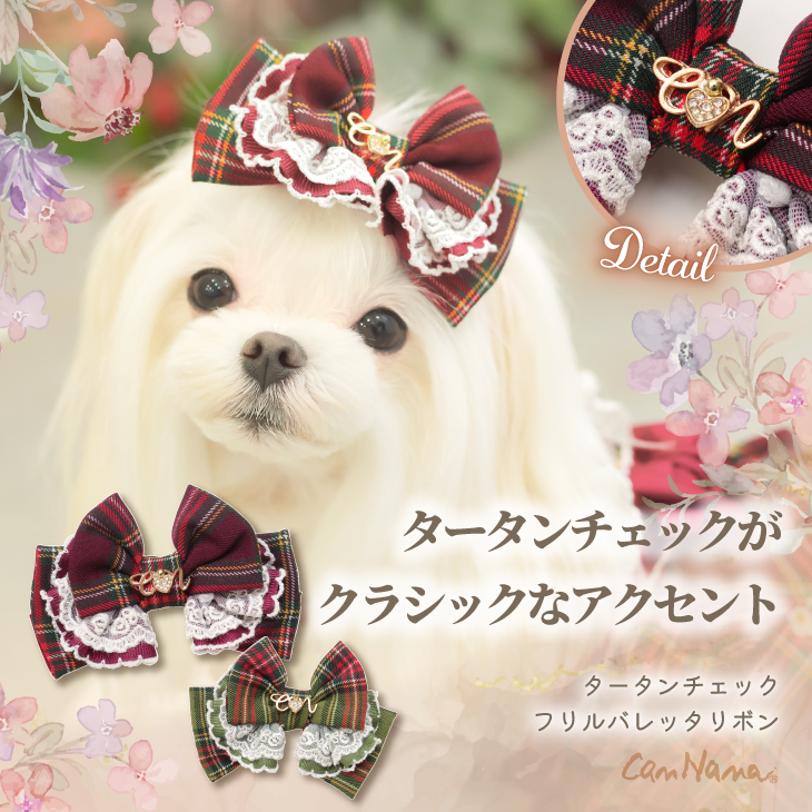 Autumn Collection 2025 – 【公式】CanNana（きゃんナナ）オフィシャル