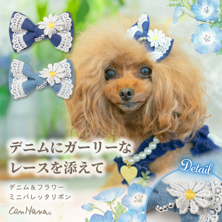 Spring Collection 2026 – 【公式】CanNana（きゃんナナ）オフィシャル