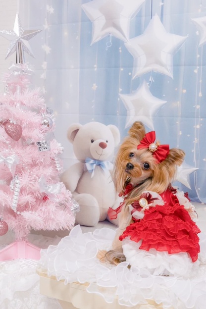 サテンドレスアップワンピース