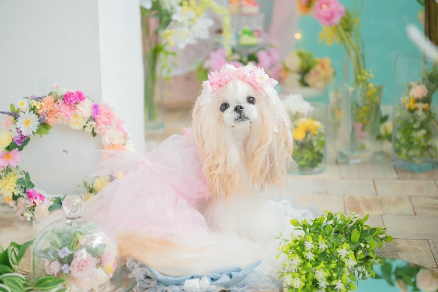 春のガーベラヘッドドレス 