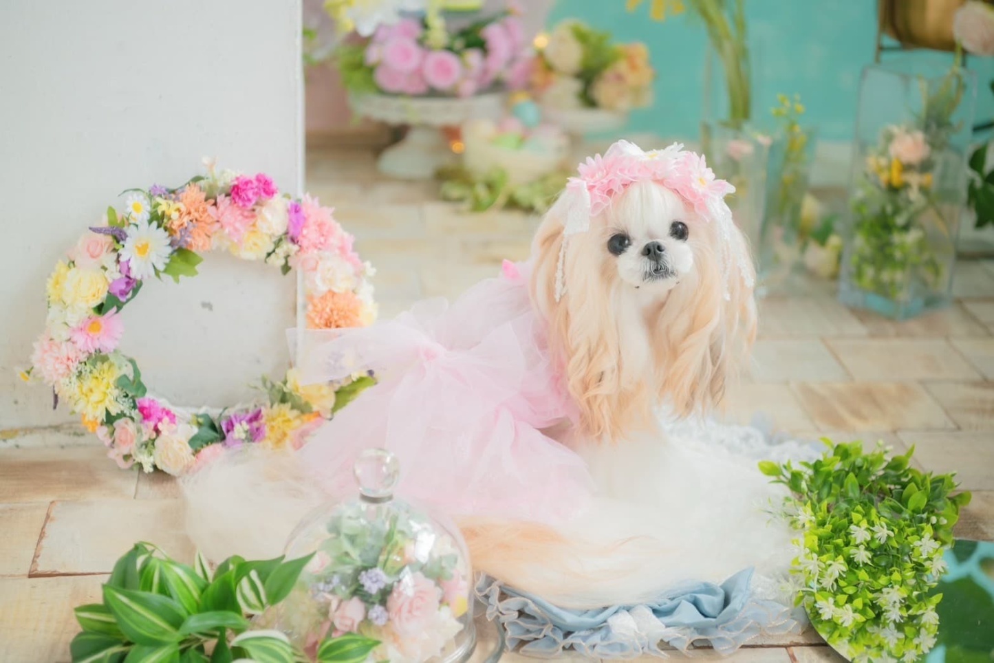 春のガーベラヘッドドレス 