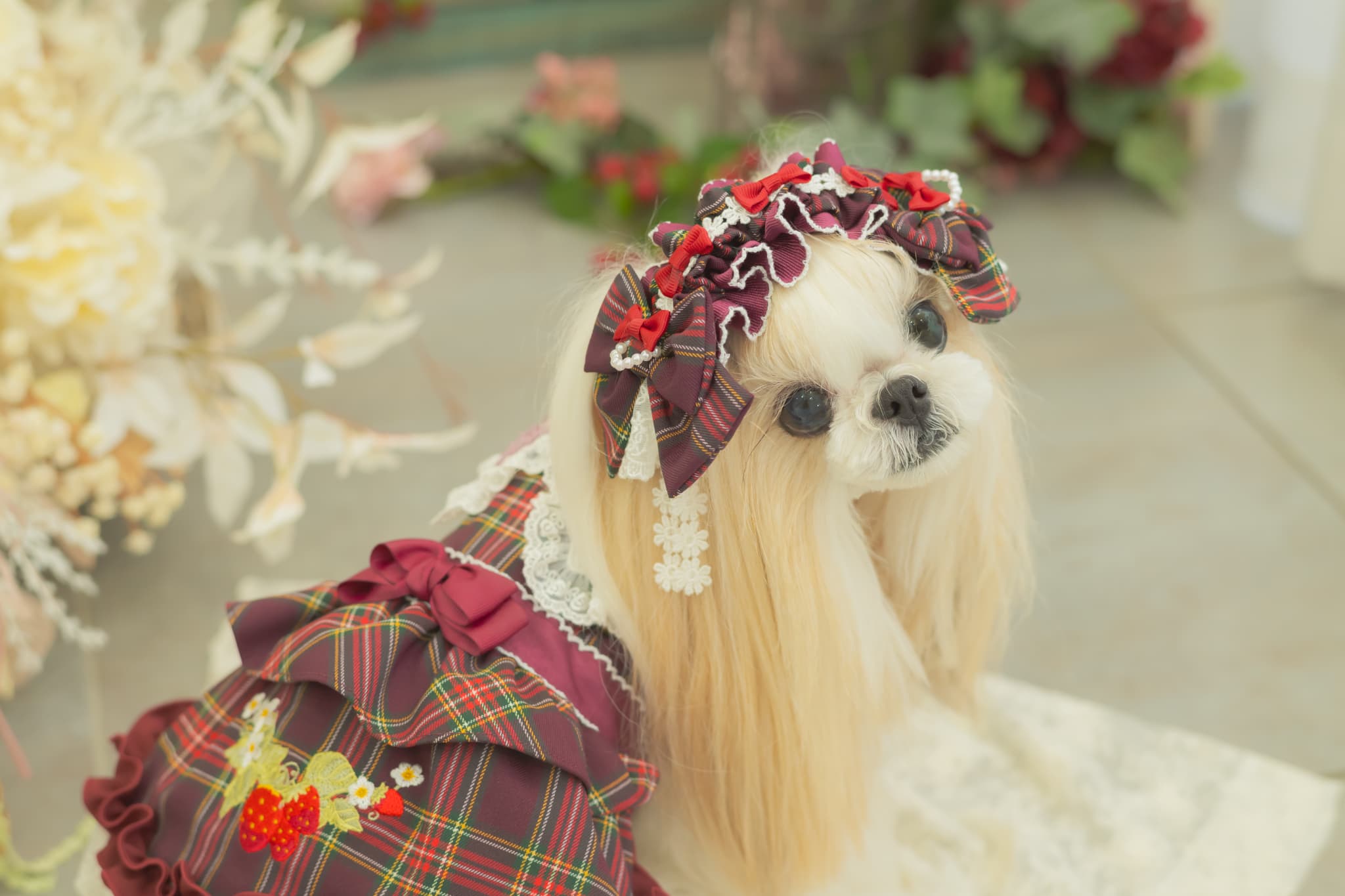 美品きゃんナナレトロいちごタータンチェックワンピースS＋Mサイズ レトロいちごタータンチェックワンピース ワインレッド – 【公式