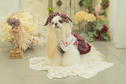 レトロいちごタータンチェックワンピース