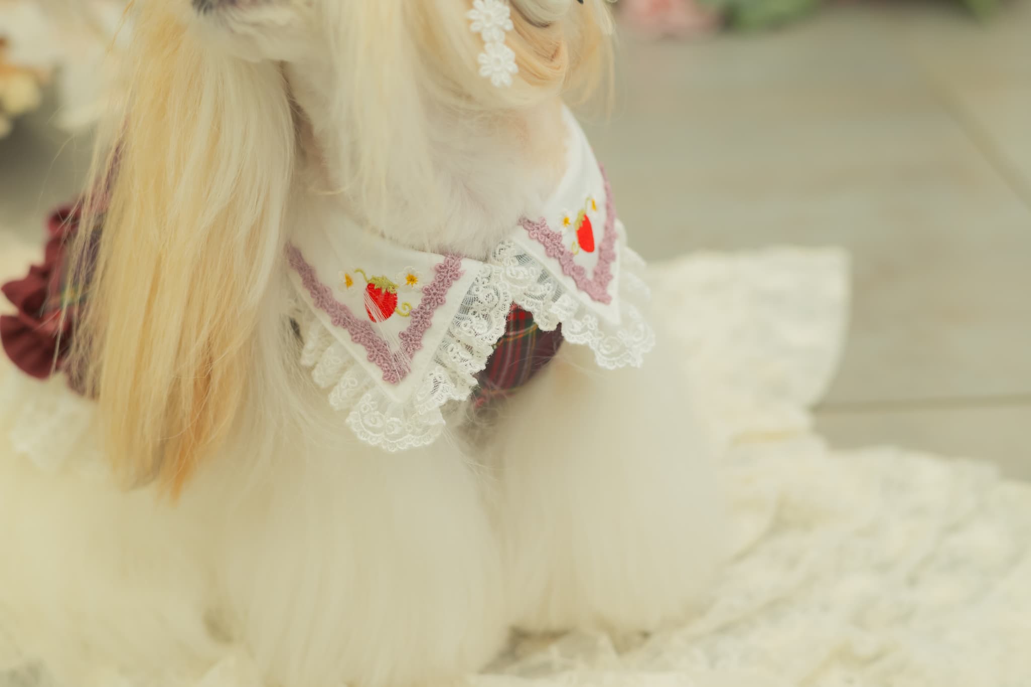 レトロいちごタータンチェックワンピース