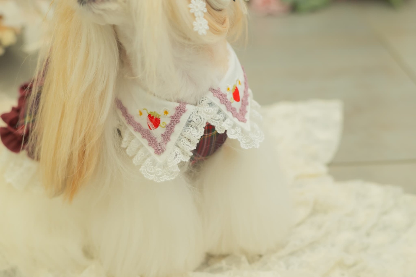 レトロいちごタータンチェックワンピース