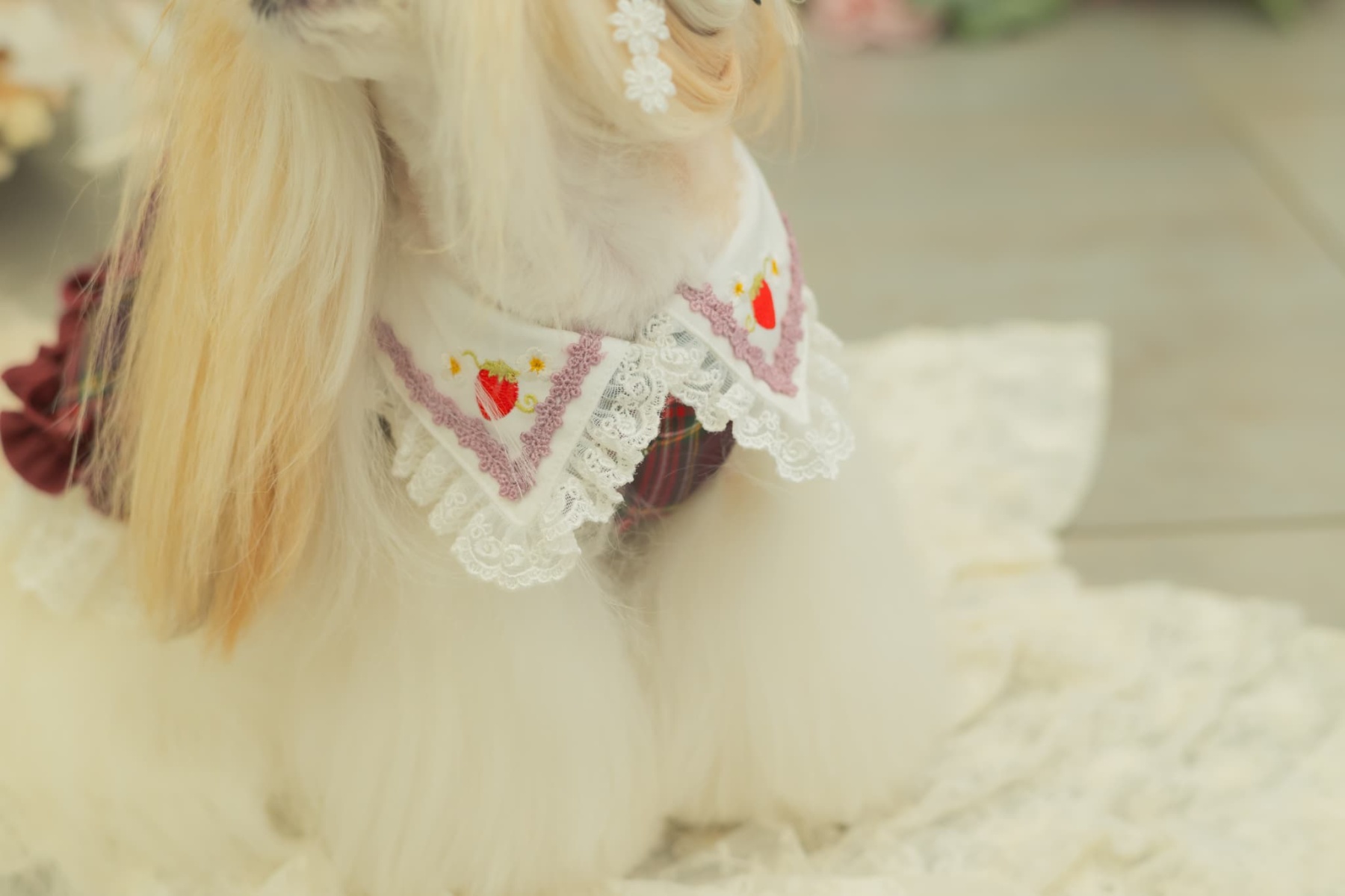 レトロいちごタータンチェックワンピース