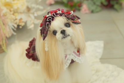 タータンチェックヘッドドレス