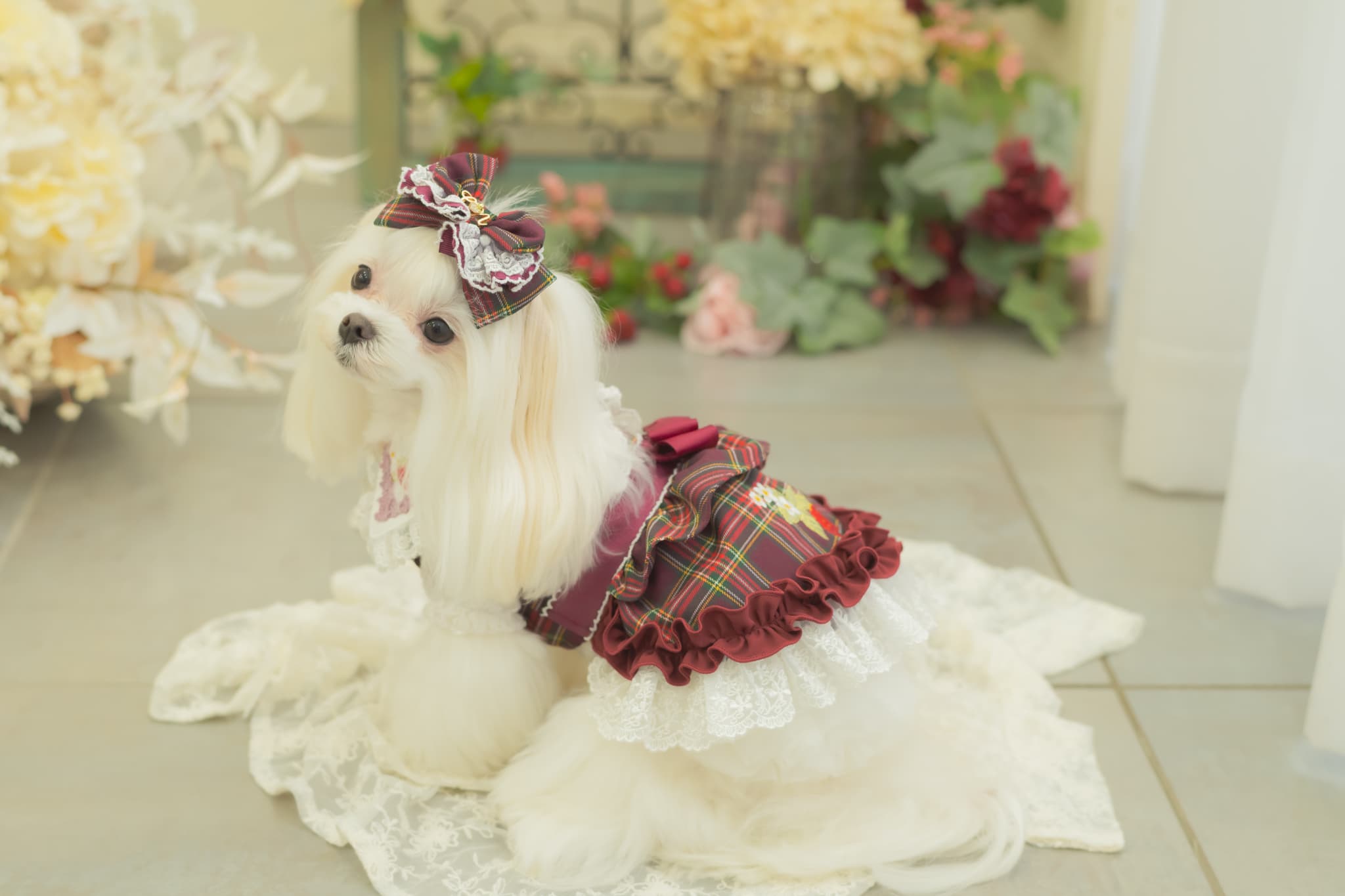 レトロいちごタータンチェックワンピース ワインレッド – 【公式