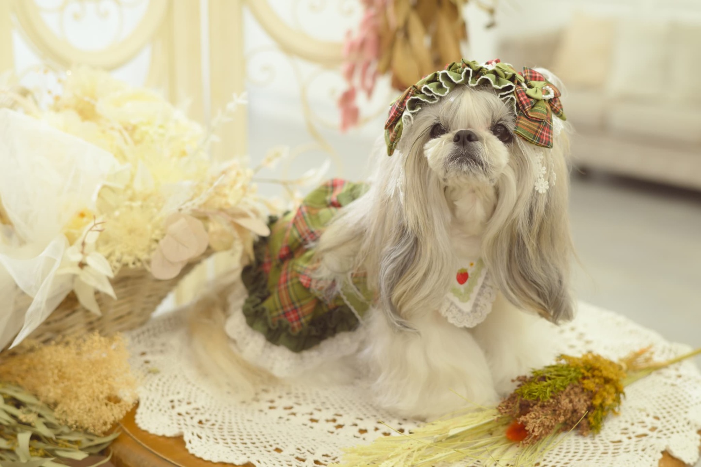 レトロいちごタータンチェックワンピース