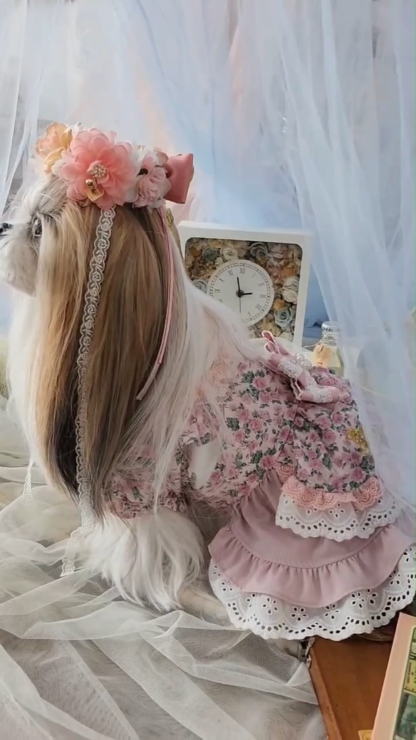 HD-035薔薇の国のアリスの花かんむり