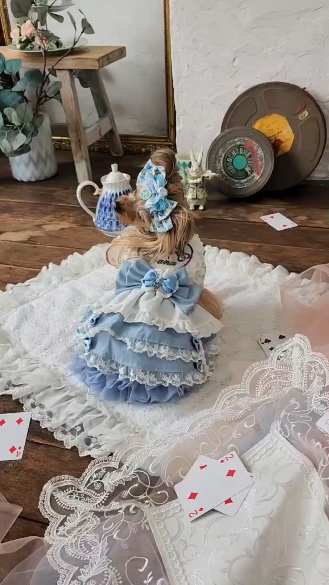 LB-341薔薇の国のアリスバレッタリボン