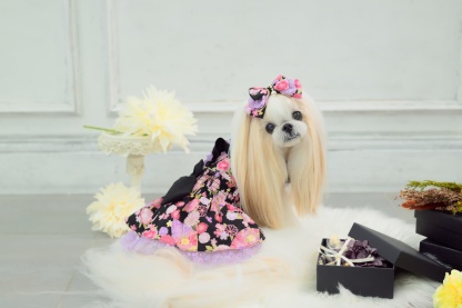 花柄和ロリバレッタ