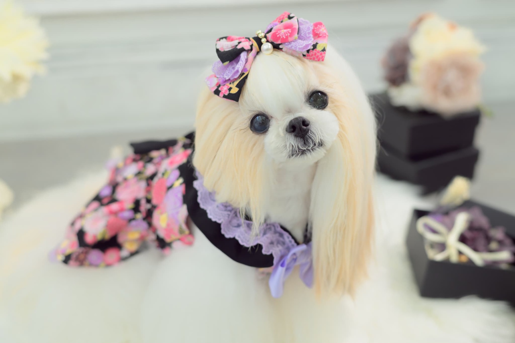 花柄和ロリバレッタ