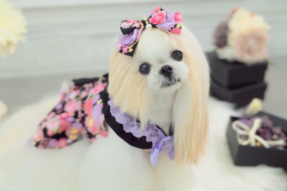 花柄和ロリバレッタ