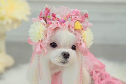 ラグジュアリー和ロリヘッドドレス