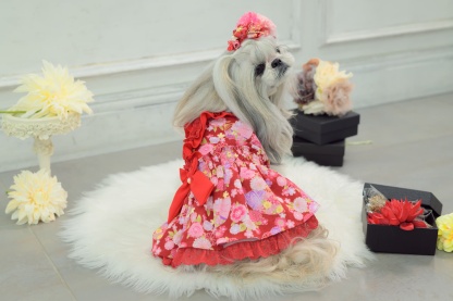 花柄和ロりワンピース