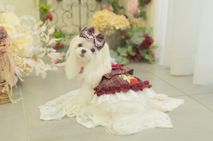 タータンチェックフリルバレッタリボン