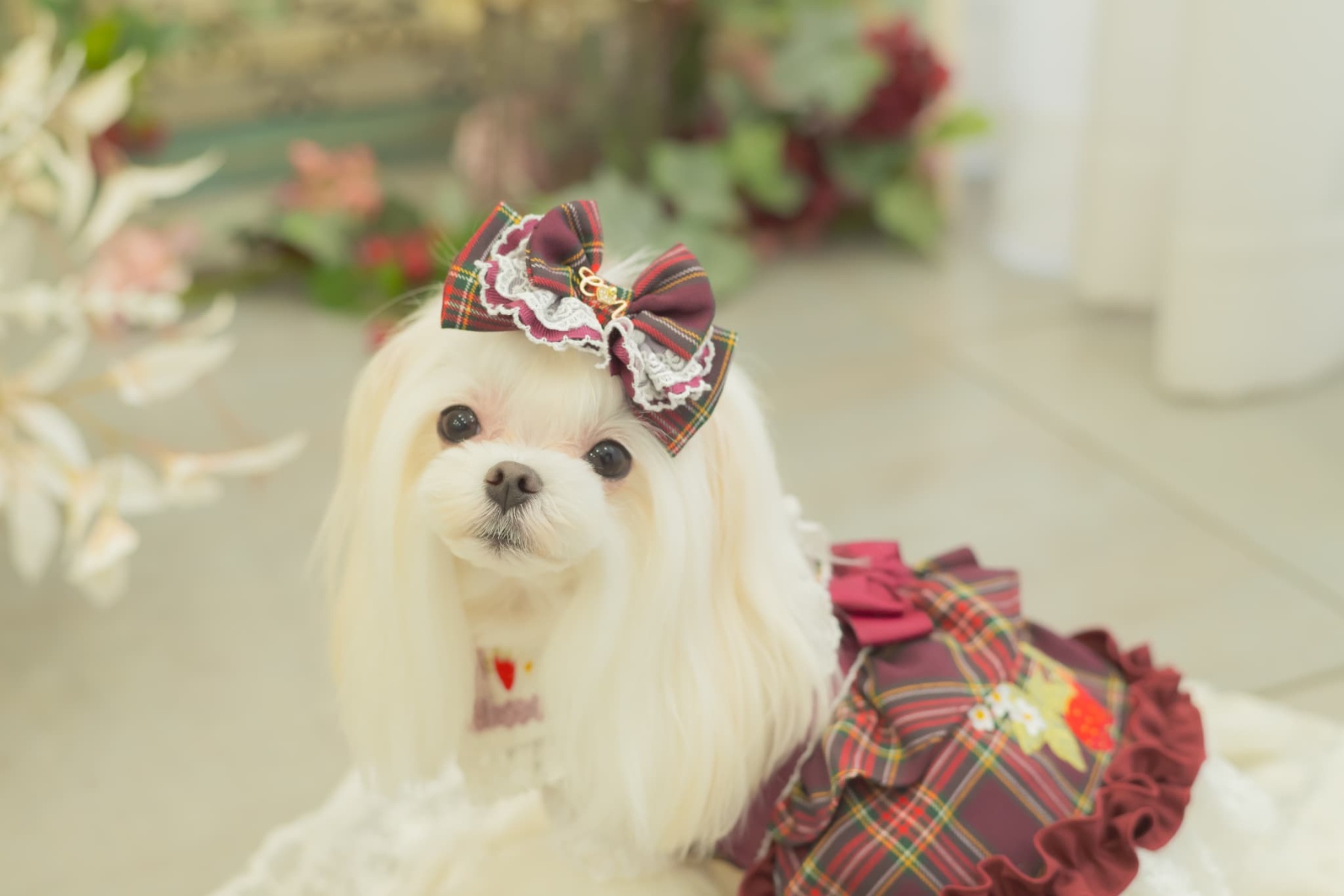 タータンチェックフリルバレッタリボン