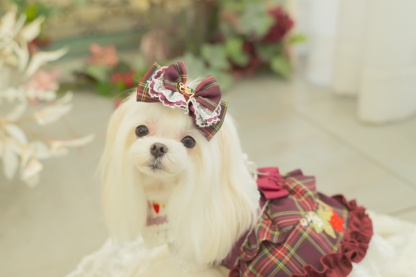 タータンチェックフリルバレッタリボン