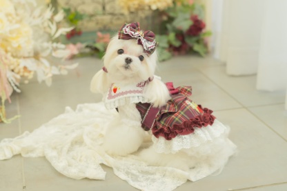 タータンチェックフリルバレッタリボン