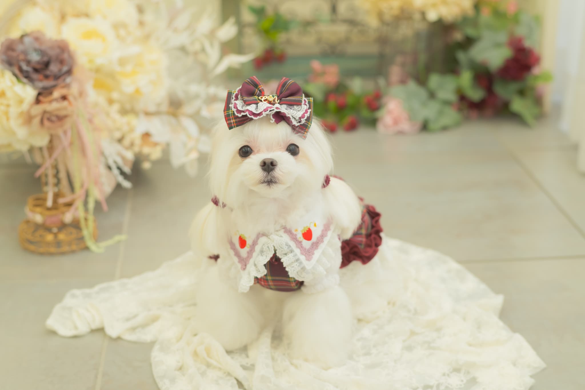 タータンチェックフリルバレッタリボン