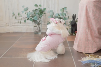 1174リボン付き中綿マント