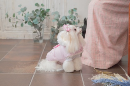 1174リボン付き中綿マント