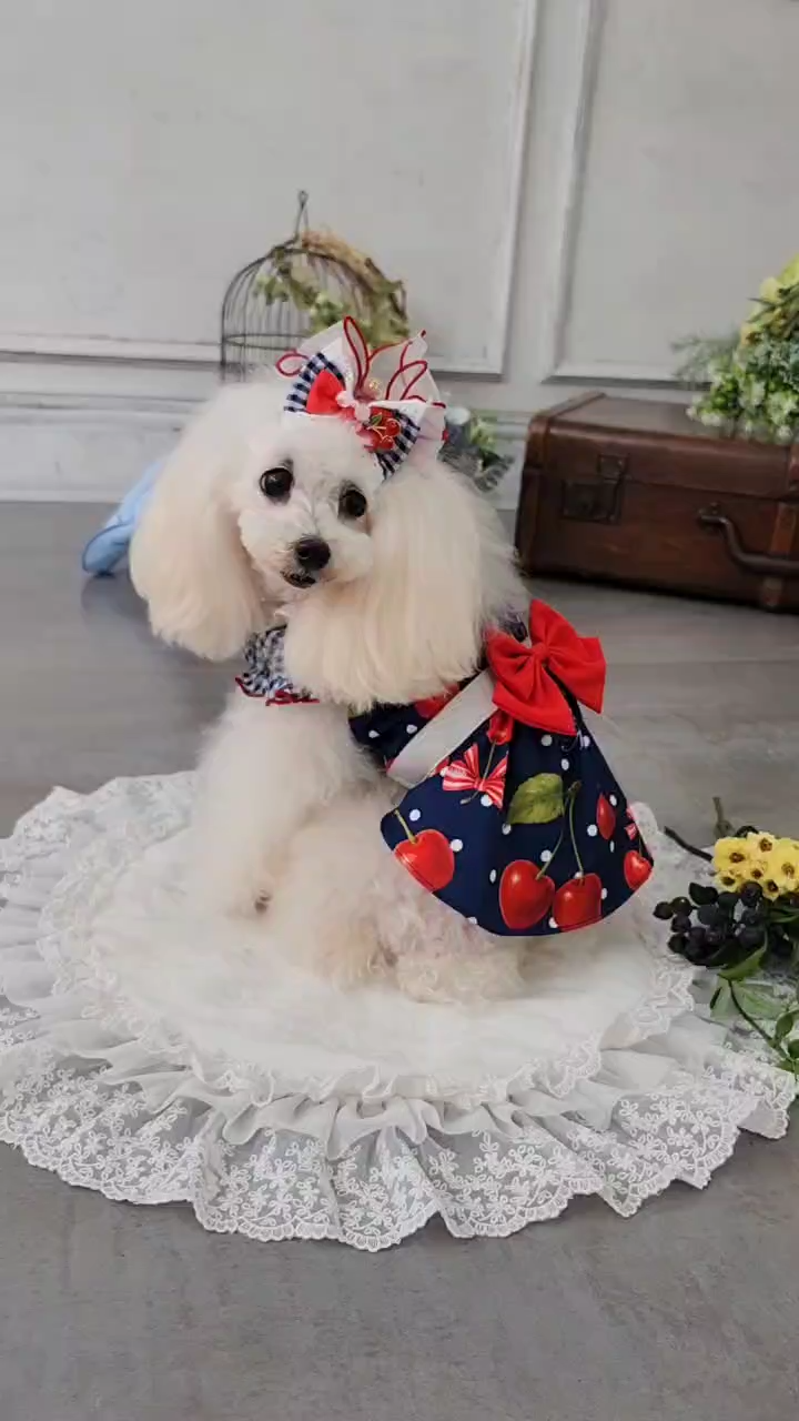 新色　LB-279オーガンジーフリルバレッタリボン