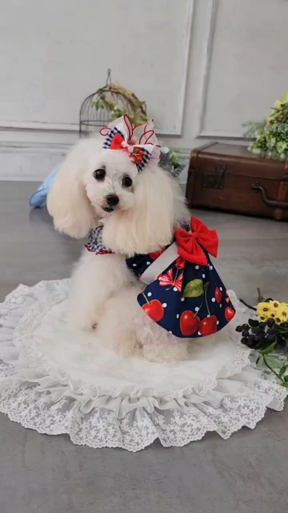 新色　LB-279オーガンジーフリルバレッタリボン