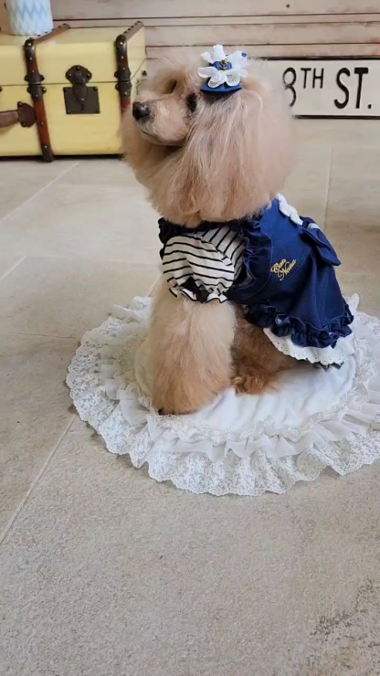 1185ﾛｺﾞﾗｲﾝｽﾄｰﾝﾎﾞｰﾀﾞｰｶｯﾄｿｰ